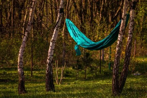 The hammock is stretched between the birch trees. Summer vacation Stock Photos