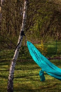 The hammock is stretched between the birch trees. Summer vacation Foto stock