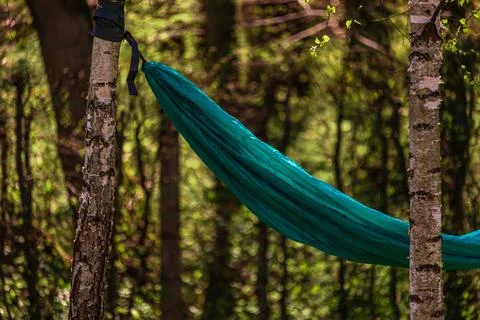 The hammock is stretched between the birch trees. Summer vacation Stock Photos