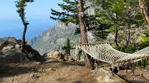 A hammock stretched between two pine trees on a cliff and the sea in the 스톡 동영상 170894658