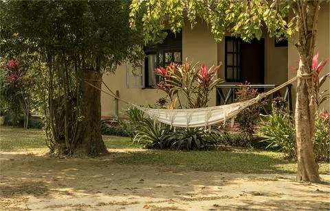 A hammock strung between two trees in a resort Stock Photos