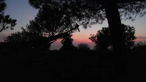 Hammock on sunset 動画素材 150352899