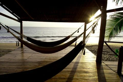 Hammock in sunshine beach Stock Photos