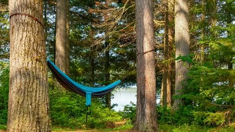 Hammock suspended between two trees in a serene forest setting near a calm lake Foto stock