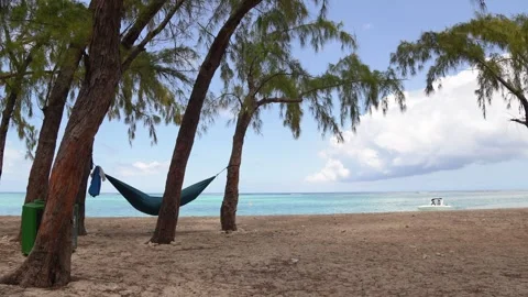Hammock Swaying Between Pine Trees on a Sandy Shore, Overlooking Azure Waters Video stock 318912296