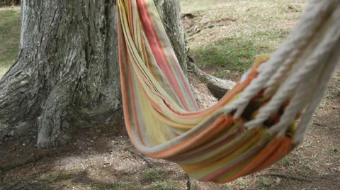 Hammock swinging in the wind Stock Footage 50449409