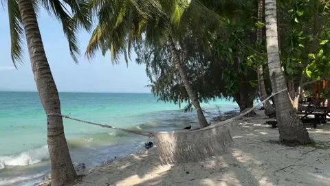 Hammock Tied Between Palm Trees on Tropical Beach 库存影片 342266611