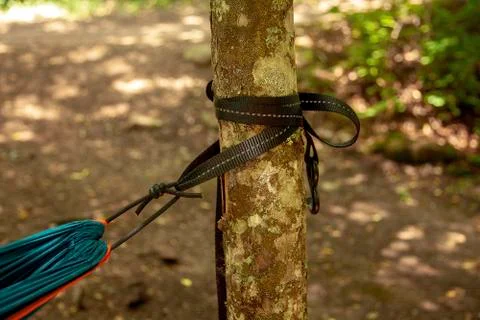 Hammock tied to a tree in the forest Stock Photos