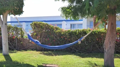 Hammock tied to a tree. in Thailand develops in the wind Stock Footage 161754235