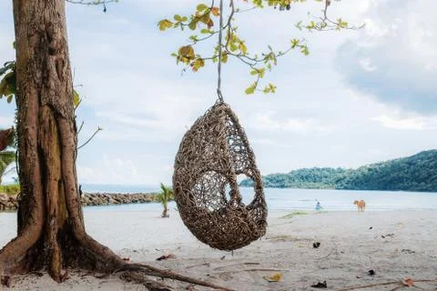 Hammock on tree at the sea. Stock Photos