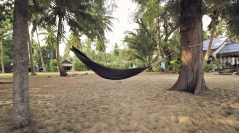 Hammock on a Tropical Beach Stock Footage 66294510