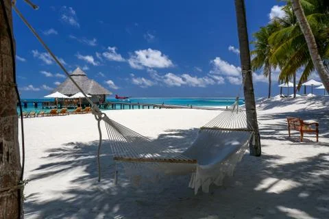 Hammock in the tropical shadow. Stock Photos