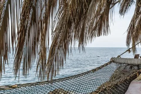 Hammock under palm branches Stock Photos