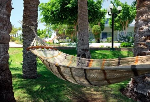Hammock under palm trees. 스톡 사진