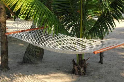 Hammock under palms Stock Photos