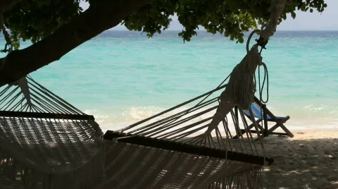 Hammock under a tree Stock-Footage 664296
