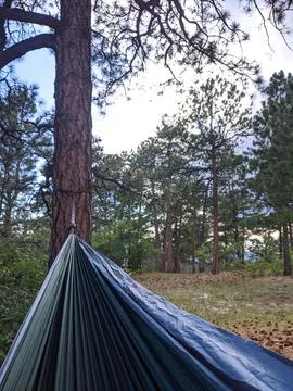 Hammocking in the Woods Foto stock