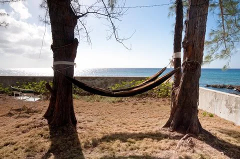Hammocks Stock Photos