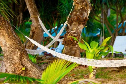 Hammocks on resort Stock Photos