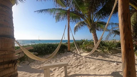 Hammocks under palm trees on the beach sway slowly. Stock Footage 125133175
