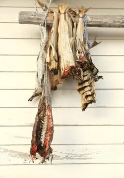 Hamnoy-cod-lofoten Stock Photos