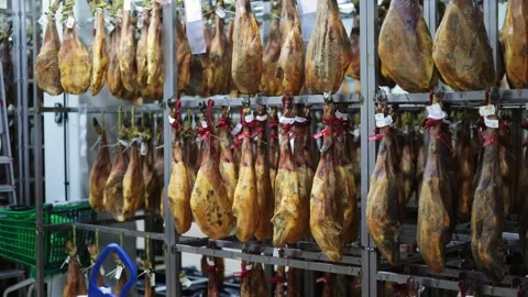 Hamon meat processing plant 库存影片 341525082