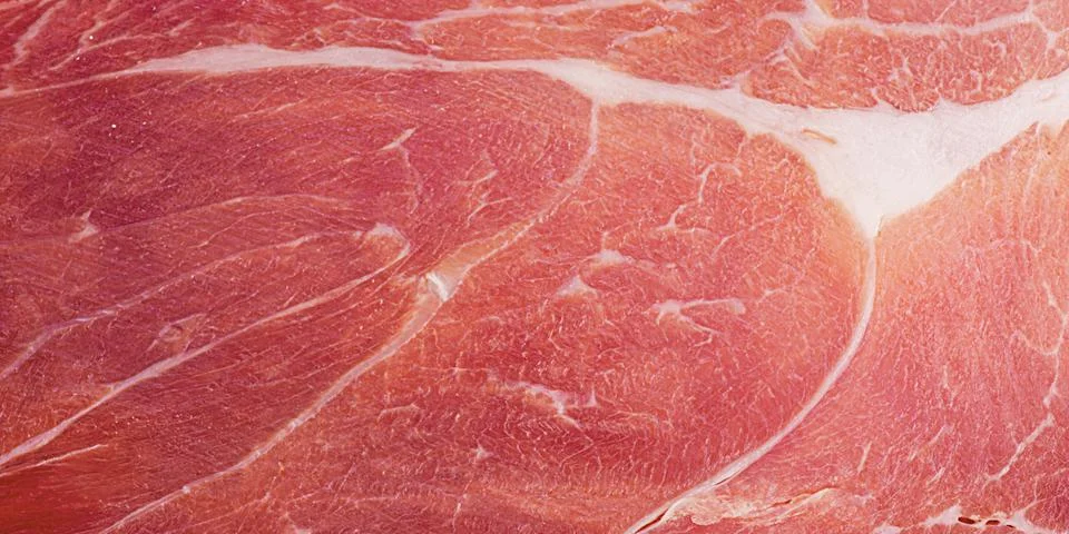 Hamon meat thin slice as macro photo background. Stock Photos