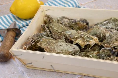 Hamper of oysters close up Foto stock