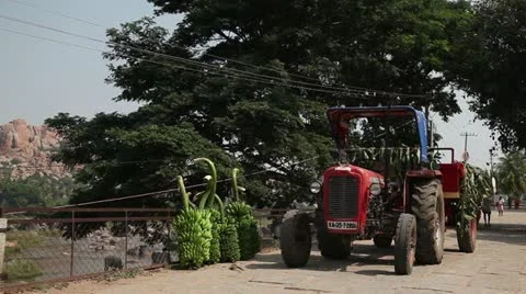 Hampi and tractor with bananas Stock Footage 22308288