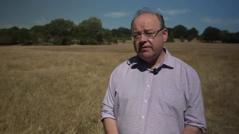 Hampstead Heath chair asks DEFRA for extra funding to mitigate hot weather risk Stock Footage 342037920