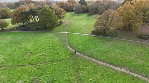 Hampstead Heath. Stock Footage 292009002