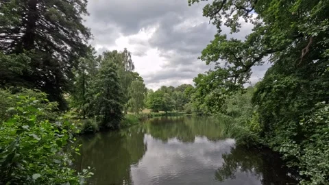 Hampstead Heath Timelapse Of A Lake Stock Footage 246389679