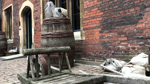 HAMPTON COURT PALACE Stock Footage 135540022