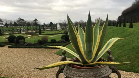 HAMPTON COURT PALACE Stock Footage 135540219