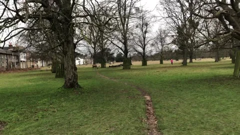 HAMPTON COURT PALACE Stock Footage 135540259
