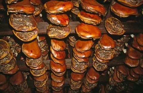  Hams hanging from ceiling whilst being smoked, Njegusi, Montenegro, Forme... Stock Photos