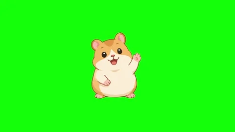 Hamster animated waving hand happily smiling cute 4k green screen background Stock Footage 345856546