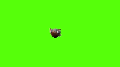 Hamster Death Green Screen Animation 4K Rendering Stock Footage 281392606
