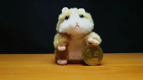Hamster exchanges bitcoin for an alternative coin 库存影片 154443580