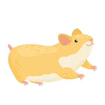 Hamster illustration. Vector isolated element. Illustrazione stock