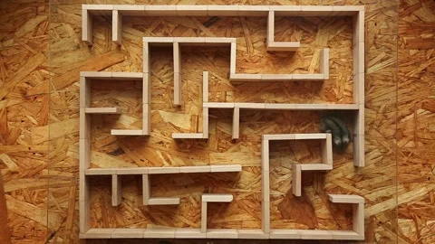 Hamster navigating wooden maze top view dynamic movement Stock Footage 323213654
