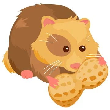 Hamster with peanut. Vector illustration Ilustração Stock