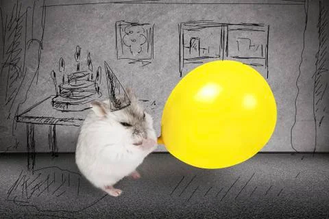 Hamster puffs up a balloon Stock Photos