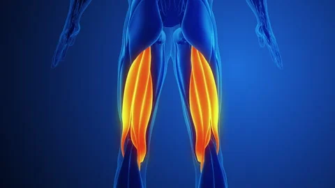 Hamstring Muscle Pain with blue background Video stock 273841808