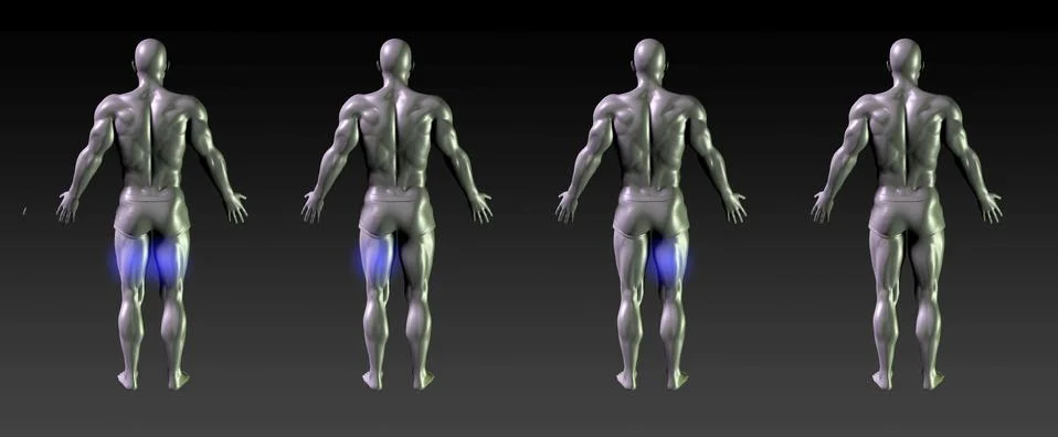 Hamstring Recovery Stock Illustration