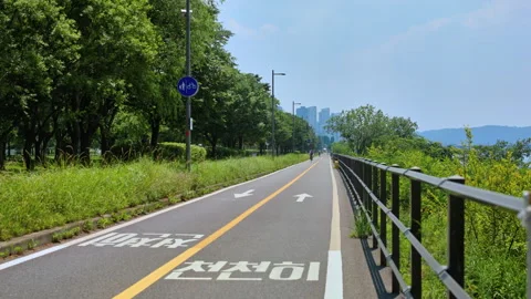 Han River Bicycle Path with Green Grass and Yellow Line Stock Footage 340242479