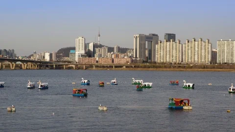 Han River Duck Boat Vídeo Stock 106077490