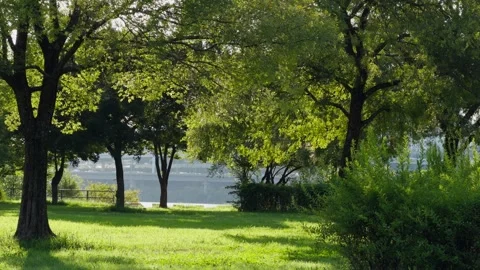 Han River Park Seoul Empty Peaceful Green Trees and Grass Serene Nature Vidéo 344525856