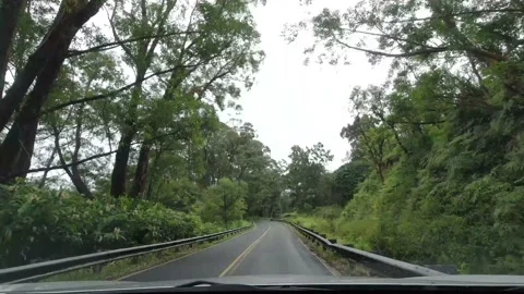 Hana Highway Hyperlapse Stock Footage 150251238
