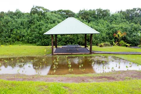 Hana Rainforest Stock Photos